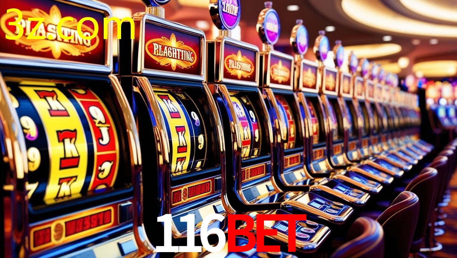 116BET.COM Login Rápido